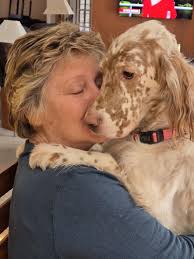 A big yea if a English setter is part of your family 🖤