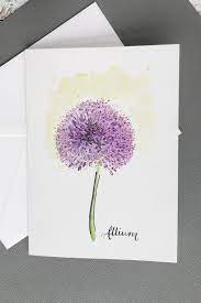 Allium Card Flower Drawing Botanical Watercolor Allium
