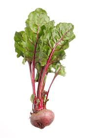 Beet | Description, Root, Leaf, Nutrition, & Facts | Britannica