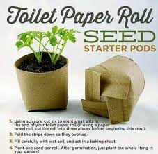 Diy Seed Starter Seed Starter Plants Growing Plants