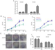 The effects of the linked fc on macrophage vitality, activity, efficiency of antigen processing, and immune responses induced by the fused ompa were investigated. Microrna 144 Inhibits Cell Proliferation And Invasion By Directly Targeting Tigar In Esophageal Carcinoma