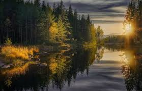 All of these landscapes are part of finland's varied natural scene. Hd Wallpaper Calm Waters Fall Finland Forest Landscape Nature Photography Wallpaper Flare