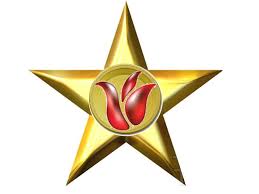 .airod sdn bhd locked bag 4004,pejabat pos kampung tunku, 47309 petaling jaya bhd. Star Tulip Aviation Sdn Bhd Startseite Facebook