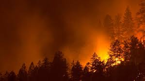 B C Fires More Than 100 New Wildfires In 24 Hours Cbc News