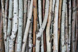 Use decorative birch logs and other botanicals for a natural look in the living room. White Birch Branches Birch Wood Logs Paper Birch Sticks Decorative Birch Wood Tree Branches 1 2 1 In Diamet Birch Branches Birch Tree Decor Birch Wood
