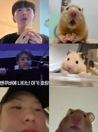 coco lam (cocolam1021)