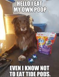 Переглянути більше від imgur у facebook. Still Don T Understand This Tide Pod Thing Album On Imgur