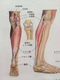 305,673 likes · 1,408 talking about this. ãƒ'ãƒ©ãƒ¡ç­‹ ã‚¹ãƒˆãƒ¬ãƒƒãƒå¤§å…¨