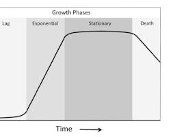 Image of graph showing the growth of a bacteria population