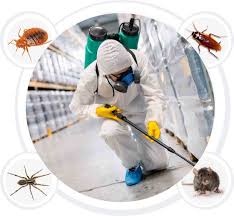 We are a team of licensed, bonded and insured professionals committed to removing any kind of pest quickly and efficiently. Pest Removal In Hamilton On Prime Pest Control