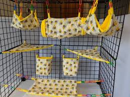 8 Piece Sugar Glider Cage Set Bumble Bee Sugar Glider Etsy