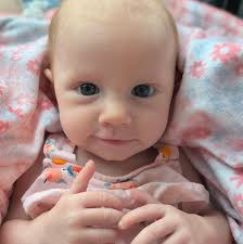 What are great Bulldog names starting with P?