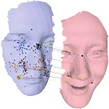 Dense Non-rigid Surface Registration Using High-Order Graph Matching