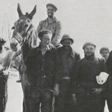 Búscame en el ciclo de la vida: 08 enero 2012