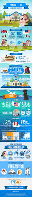 Pet Shelters Need Your Support Animal Shelter Puppy Adoption Animal Infographic