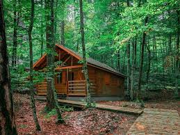 Söylentilere göre, pisagor'un matematik, fizik, astronomi, felsefe ve müzikte getirmek istediği yenilik, buluşlar ve ışıkları hazmedemeyen bir takım. Pisagor Ev 13 Max 6 Kisilik Habitat Mesire Houses For Rent In Merkesler Bolu Turkey