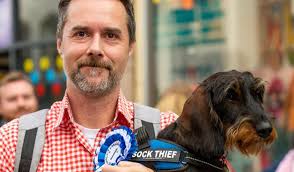 Maidenhead Town Show