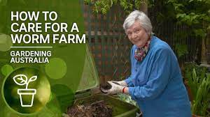 Simple Tips In How To Take Care Of Your Worm Farm - Youtube