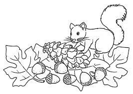 Der foodblog für kreative küche und gelingsichere rezepte. Herbst 7 Ausmalbilder Malvorlagen