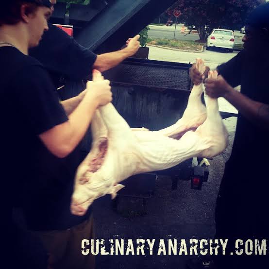 If you're not willing to kill it, you don't deserve to eat it -  CulinaryAnarchy.com