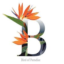 Birds That Start With The Letter B Buchstabe Letter B Paradiesvogel Buchstabe B Zeichnen Basteln