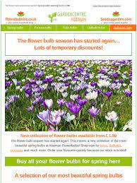 Bulbs are easy to plant, easy to. Gardencentrekoeman Co Uk Spring Flower Bulbs Season Has Started Plant Them Now Milled