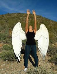 Pictures 2 and 3 show how the wings are fastened together; The Crooked Feather