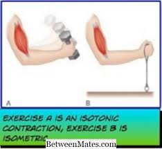 Learn vocabulary, terms and more with flashcards, games and other study tools. DiferenÈ›a Dintre ContracÈ›iile Izometrice È™i Izotonice DiferenÈ›a Intre 2021 Altele
