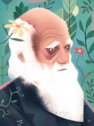 Charles Darwin By Martin Wickstrom Illustration Commercial Art Artwork