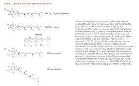 Vitamin E Linus Pauling Institute Oregon State University