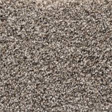 Awesome menards carpet sale gallery of carpet style 409381. Looptex Mills Irreplaceable Plush Carpet 12 Ft Wide At Menards