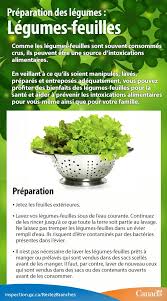 Profitez Des Bienfaits Des Legumes Feuilles Pour La Sante Et Contribuez A Prevenir Les Intoxications Alimentaires En Le Feuille Salubrite Alimentaire