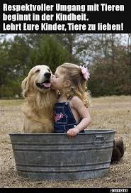 Respektvoller Umgang Mit Tieren Beginnt In Der Lustige Bilder Spruche Witze Echt Lustig Lustige Bilder Spruche Tierliebe Hund Bester Freund