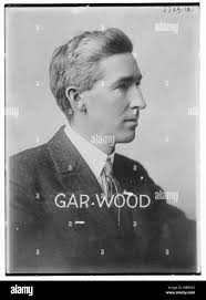 Gar. Wood Abstractmedium: 1 negative : glass ; 5 x 7 in. or smaller Stock  Photo - Alamy