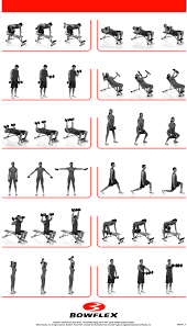8 Best Images Of Free Printable Dumbbell Workout Poster