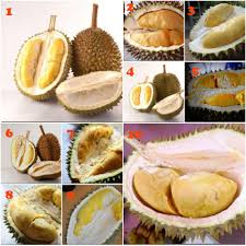 Its texture is beautifully creamy but often a bit too watery. Top 10 Best And Delicious Durians You Must Try Miri City Sharing