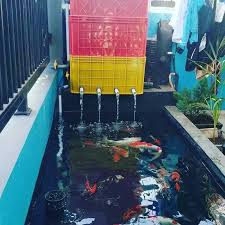 Permasalahan air ini sangat rumit karena berkaitan langsung dengan kualitas pertumbuhan ikan yang ada di dalamnya. Filter Penjernih Air Kolam Ikan Koi Local Business Makassar 8 Photos Facebook