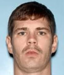 3 arrested after shots fired, chase in Effingham County