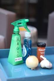 You can still clean, vacuum or even hose down certain areas of the outside of your property, but just avoid mopping right up to the edges of internal. How To Keep Insects And Animals Out Of Your Garden Insect Spray Garden Pest Control Natural Insect Spray