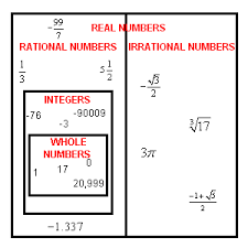 What are whole numbers ? Whole Numbers