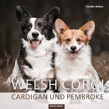 The pembroke welsh corgi and the cardigan welsh corgi. Welsh Corgi Cardigan Und Pembroke Amazon De Bohne Claudia Bucher