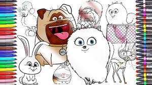 Use the download button to find out the full image of gidget the secret life of pets download, and download it for your computer. The Secret Life Of Pets 2 Color Page Duke Gidget Snowball Step By Step Drawing Coloring For Kids Youtube