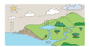 Semut dan beruang (halaman 13) pada suatu hari, beri si beruang melihat ke dalam mata air. Kunci Jawaban Tematik Kelas 5 Tema 8 Subtema 1 Pembelajaran 2 Simple News Kunci Jawaban Lengkap Terbaru