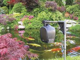 Hozelock Cyprio S New Automatic Fish Feeder Koi Pond Pond Construction Japanese Garden