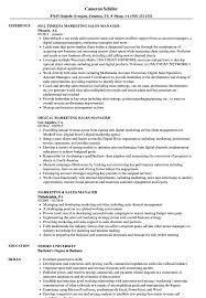 This resume was written by a resumemycareer professional resume writer, and demonstrates how a resume for a real estate sales marketing professional candidate should be properly created. Marketing Sales Manager Resume Samples Velvet Jobs