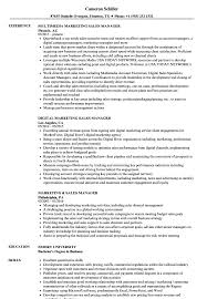 For more detailed advice on winning recruiters over with your skills, readhow to create a resume skills section to impress recruiters (+10 examples you need to see). Marketing Sales Manager Resume Samples Velvet Jobs