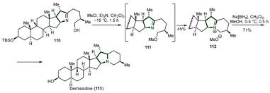 Image result for Schizozygia coffaeoides
