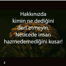 Hakkinizda Kimin Ne Dedigini Dert Etmeyin Neticede Insan Hazmedemedigini Kusar Alinti Sozler Ozlu Sozler Guzel Soz