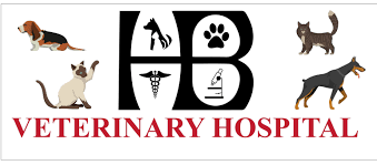 Featuring a variety of services, huntington beach veterinary is dedicated to. Huntington Beach Veterinary Hospital Home Facebook