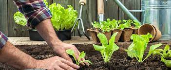 2021 Average Cost Of A Gardener With Local Prices Homeguide